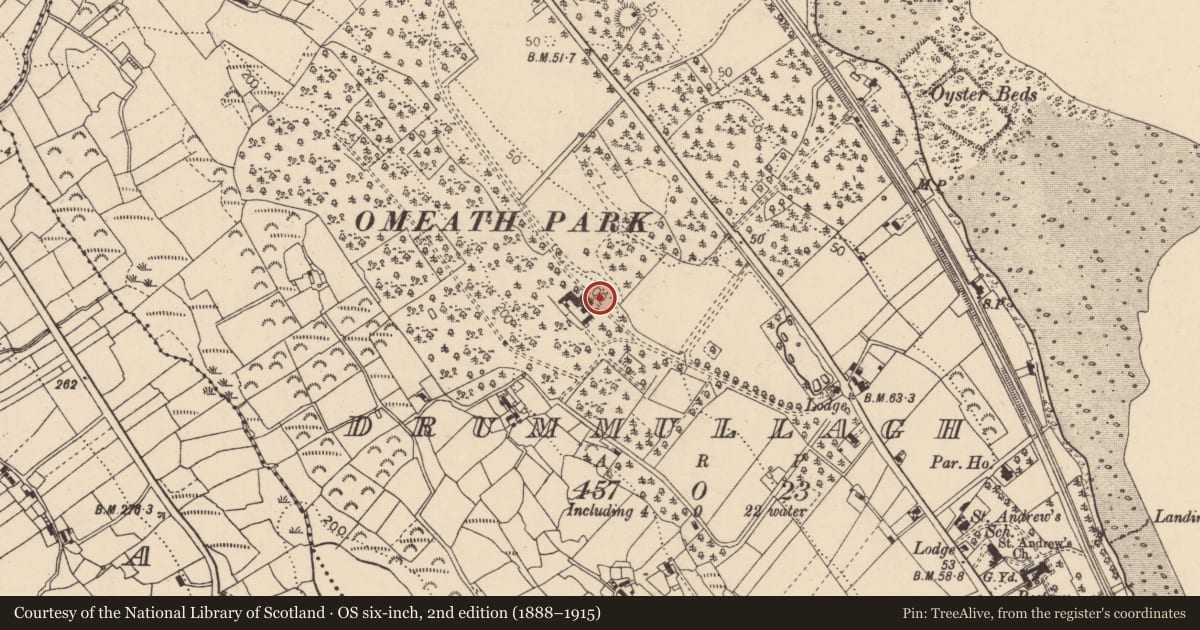 Ordnance Survey six-inch map, 2nd edition (1888–1915) covering the location of Stone head, Drummullagh, County Louth, with a pin at the register's coordinates