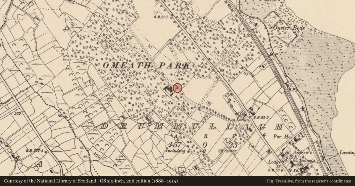 Ordnance Survey six-inch map, 2nd edition (1888–1915) covering the location of Stone head, Drummullagh, County Louth, with a pin at the register's coordinates