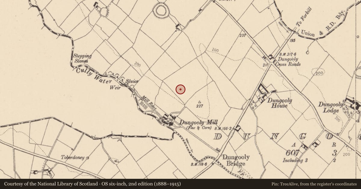Ordnance Survey six-inch map, 2nd edition (1888–1915) covering the location of Standing stone, Dungooly, County Louth, with a pin at the register's coordinates