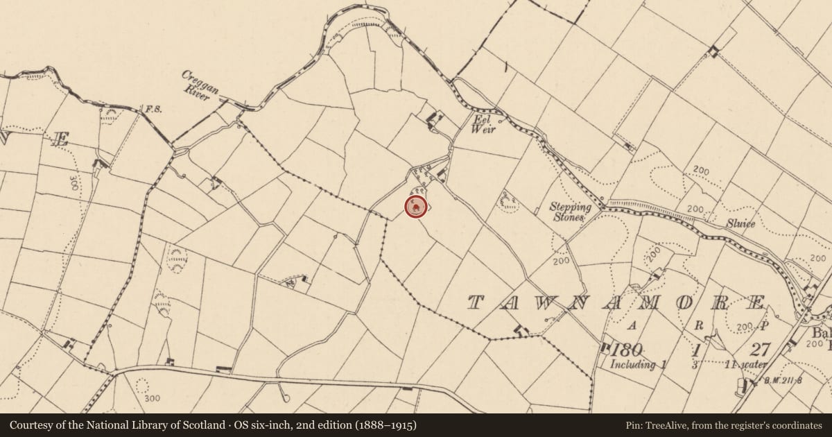 Ordnance Survey six-inch map, 2nd edition (1888–1915) covering the location of Enclosure, Tawnamore, County Louth, with a pin at the register's coordinates