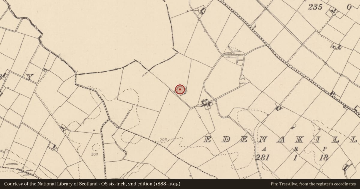 Ordnance Survey six-inch map, 2nd edition (1888–1915) covering the location of Souterrain, Edenakill, County Louth, with a pin at the register's coordinates