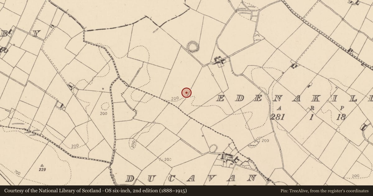 Ordnance Survey six-inch map, 2nd edition (1888–1915) covering the location of Souterrain, Edenakill, County Louth, with a pin at the register's coordinates