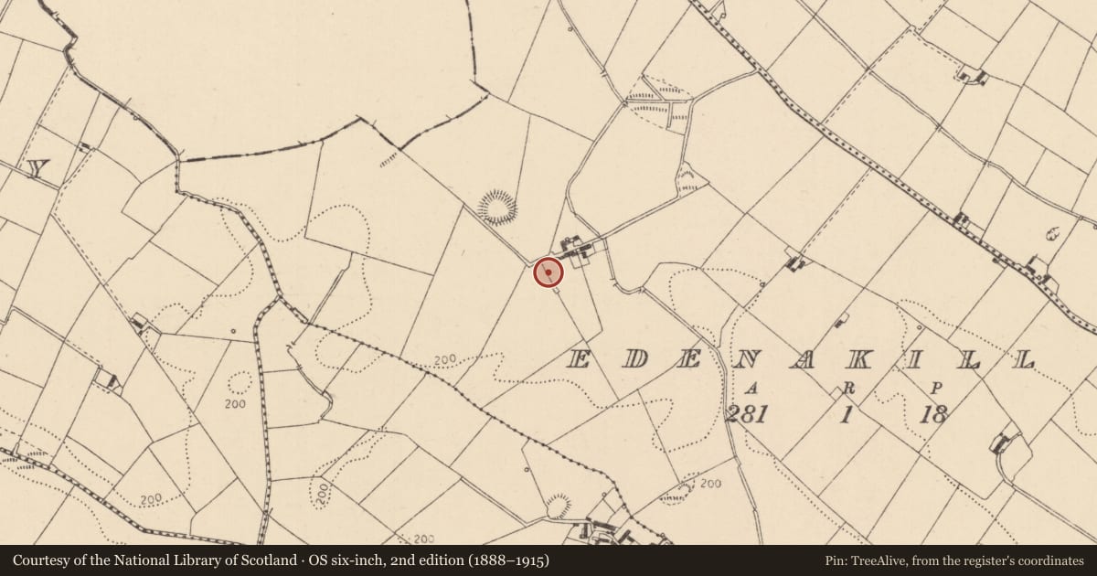 Ordnance Survey six-inch map, 2nd edition (1888–1915) covering the location of Standing stone (present location), Edenakill, County Louth, with a pin at the register's coordinates