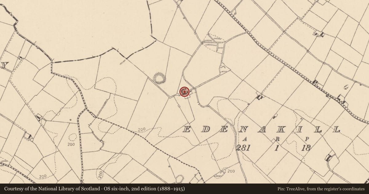 Ordnance Survey six-inch map, 2nd edition (1888–1915) covering the location of Standing stone, Edenakill, County Louth, with a pin at the register's coordinates