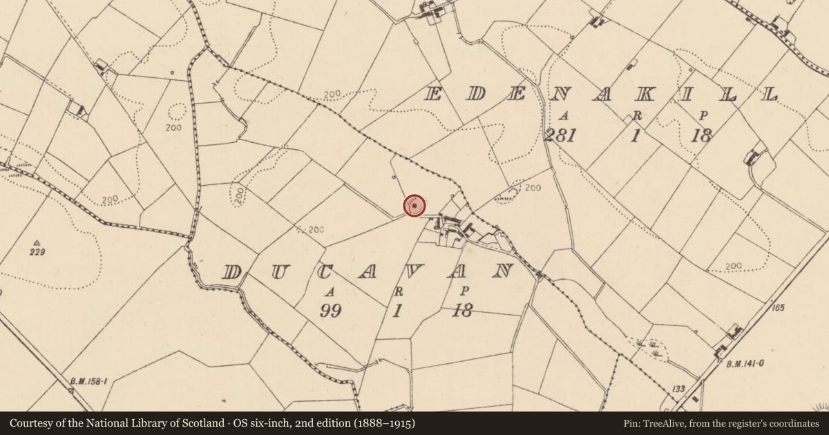 Ordnance Survey six-inch map, 2nd edition (1888–1915) covering the location of Hut site, Ducavan, County Louth, with a pin at the register's coordinates