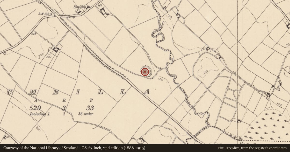 Ordnance Survey six-inch map, 2nd edition (1888–1915) covering the location of Ringfort - rath, Drumbilla, County Louth, with a pin at the register's coordinates