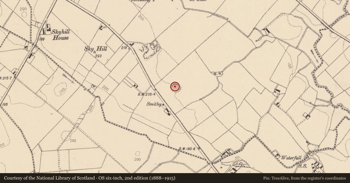 Ordnance Survey six-inch map, 2nd edition (1888–1915) covering the location of Earthwork, Drumbilla, County Louth, with a pin at the register's coordinates
