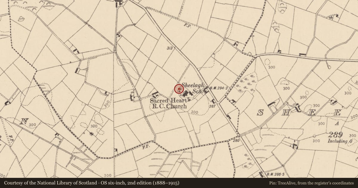 Ordnance Survey six-inch map, 2nd edition (1888–1915) covering the location of Enclosure, Courtbane, County Louth, with a pin at the register's coordinates