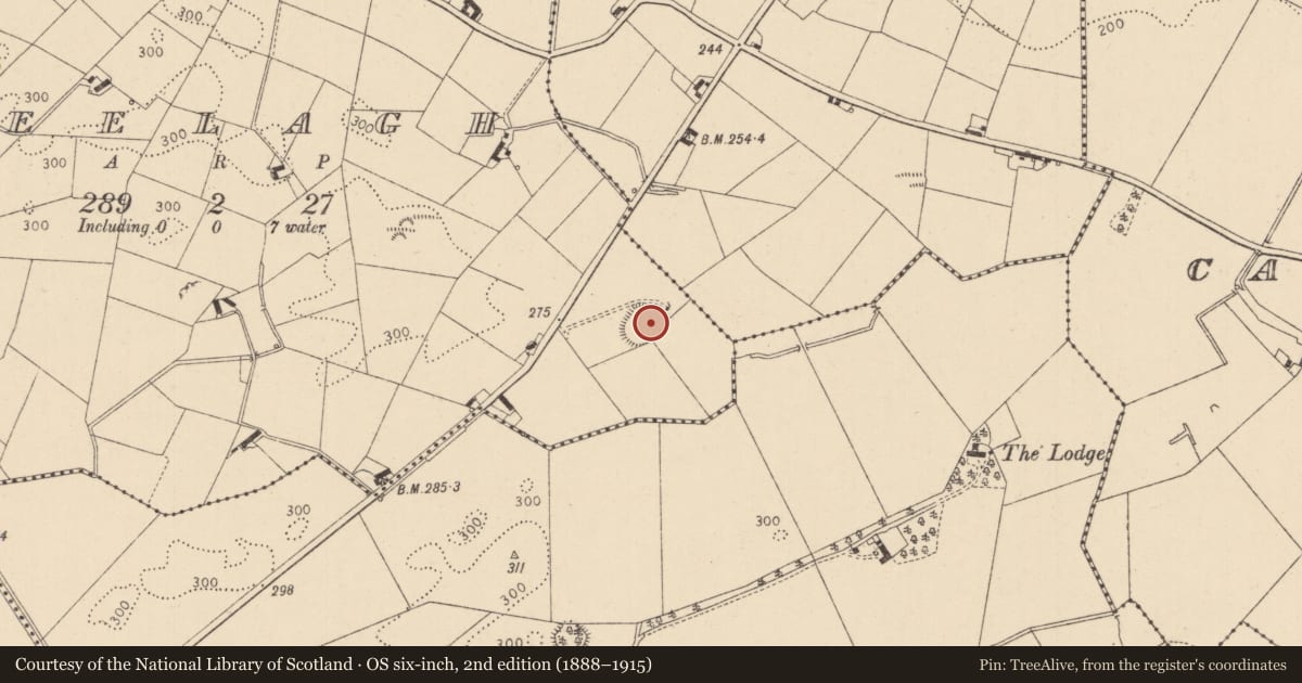 Ordnance Survey six-inch map, 2nd edition (1888–1915) covering the location of Souterrain, Sheelagh, County Louth, with a pin at the register's coordinates