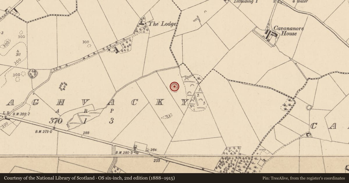 Ordnance Survey six-inch map, 2nd edition (1888–1915) covering the location of Ringfort - rath, Annaghvacky, County Louth, with a pin at the register's coordinates