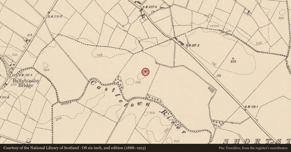 Ordnance Survey six-inch map, 2nd edition (1888–1915) covering the location of Hut site, Shortstone West, County Louth, with a pin at the register's coordinates