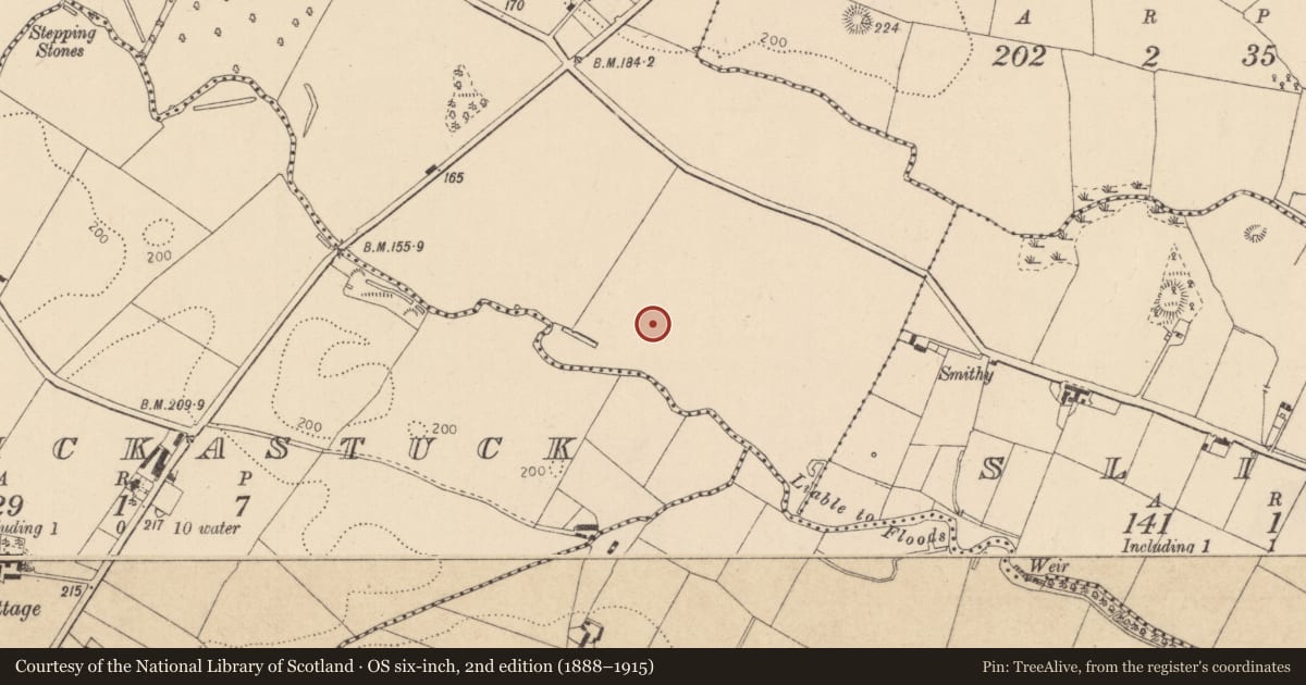 Ordnance Survey six-inch map, 2nd edition (1888–1915) covering the location of Souterrain, Shortstone West, County Louth, with a pin at the register's coordinates