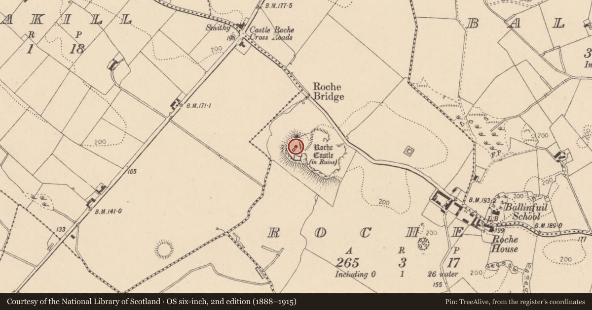 Ordnance Survey six-inch map, 2nd edition (1888–1915) covering the location of Castle - Anglo-Norman masonry castle, Roche (Dundalk Upr by, County Louth, with a pin at the register's coordinates