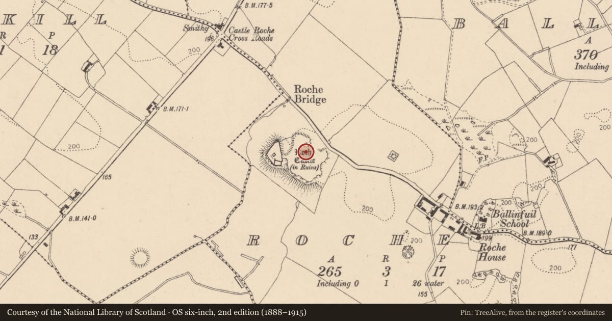 Ordnance Survey six-inch map, 2nd edition (1888–1915) covering the location of Settlement deserted - medieval, Roche (Dundalk Upr by, County Louth, with a pin at the register's coordinates