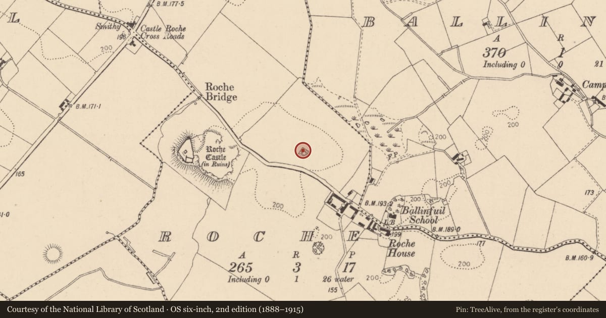 Ordnance Survey six-inch map, 2nd edition (1888–1915) covering the location of Barrow - unclassified, Roche (Dundalk Upr by, County Louth, with a pin at the register's coordinates