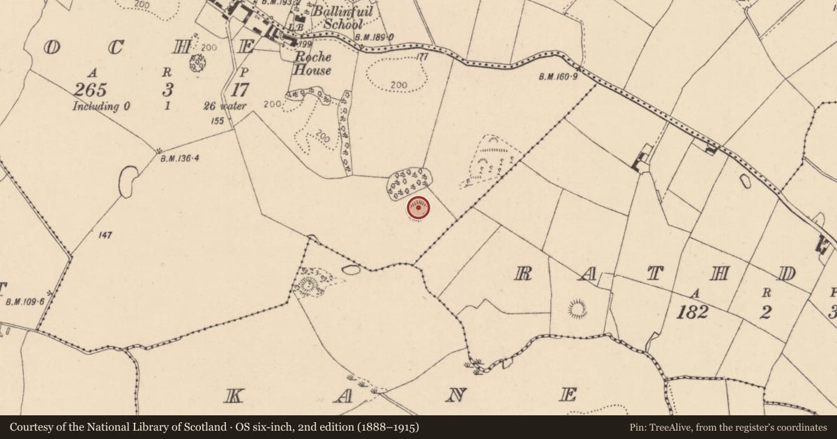 Ordnance Survey six-inch map, 2nd edition (1888–1915) covering the location of Enclosure, Roche (Dundalk Upr by, County Louth, with a pin at the register's coordinates