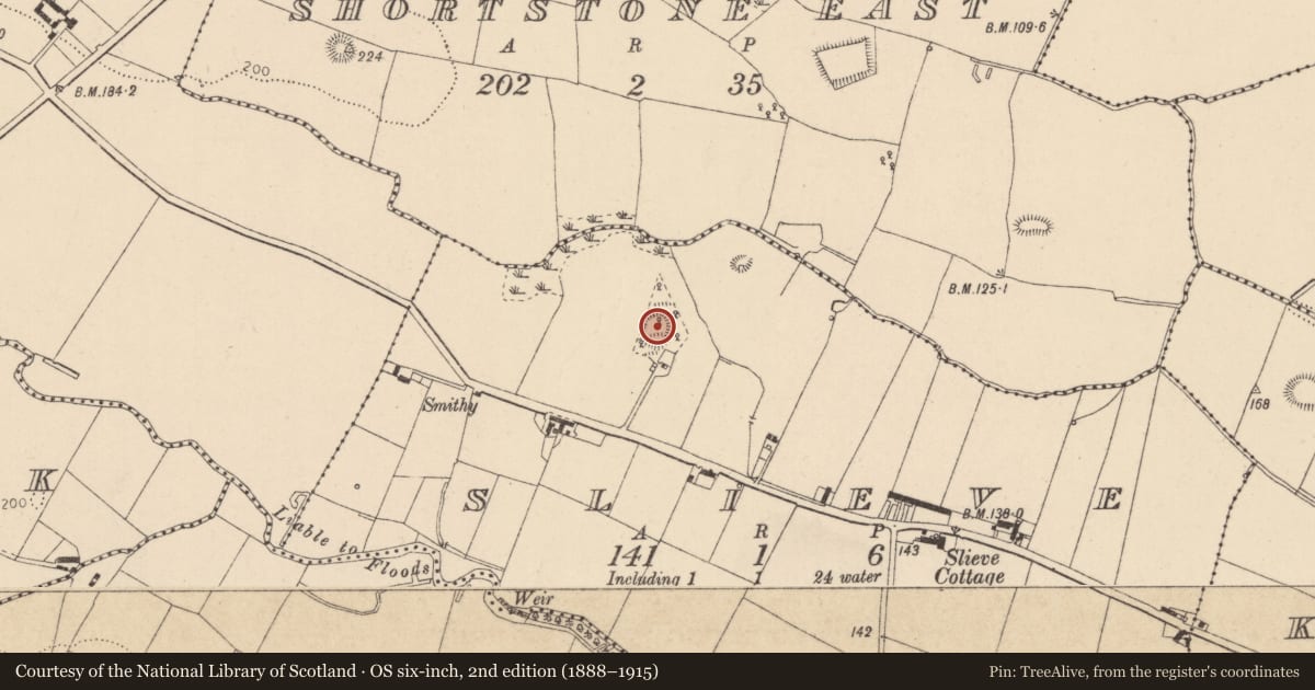 Ordnance Survey six-inch map, 2nd edition (1888–1915) covering the location of Promontory fort - inland, Slieve, County Louth, with a pin at the register's coordinates
