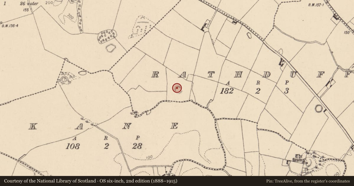 Ordnance Survey six-inch map, 2nd edition (1888–1915) covering the location of Ringfort - rath, Rathduff, County Louth, with a pin at the register's coordinates