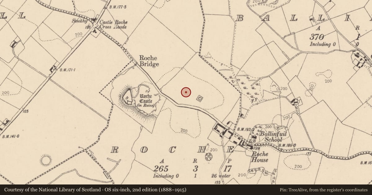Ordnance Survey six-inch map, 2nd edition (1888–1915) covering the location of House - indeterminate date, Roche (Dundalk Upr by, County Louth, with a pin at the register's coordinates