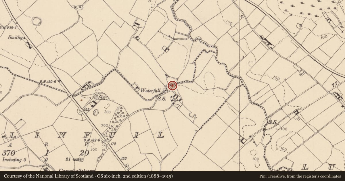 Ordnance Survey six-inch map, 2nd edition (1888–1915) covering the location of Souterrain, Ballinfuil, County Louth, with a pin at the register's coordinates