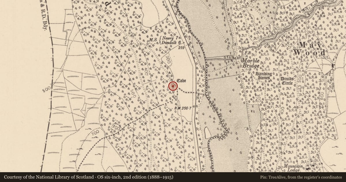 Ordnance Survey six-inch map, 2nd edition (1888–1915) covering the location of Souterrain, Drumad, County Louth, with a pin at the register's coordinates