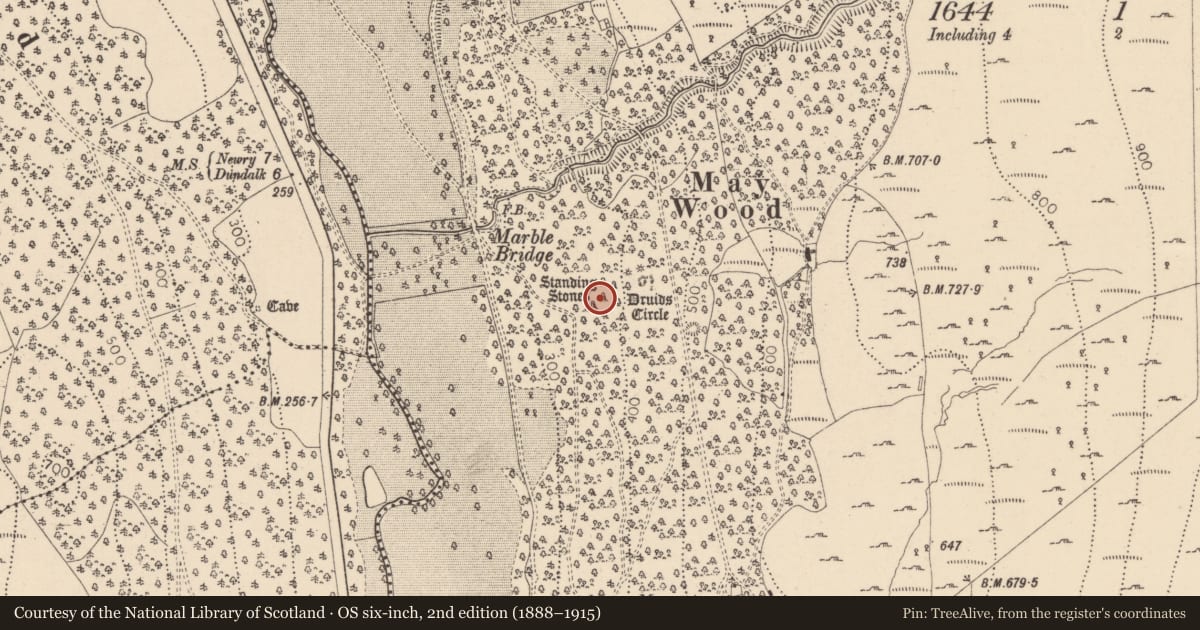 Ordnance Survey six-inch map, 2nd edition (1888–1915) covering the location of Standing stone, Ravensdale Park, County Louth, with a pin at the register's coordinates