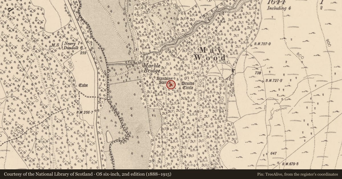 Ordnance Survey six-inch map, 2nd edition (1888–1915) covering the location of Standing stone, Ravensdale Park, County Louth, with a pin at the register's coordinates