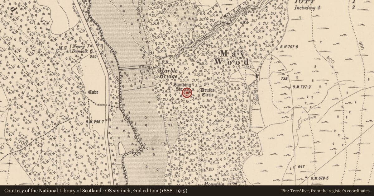 Ordnance Survey six-inch map, 2nd edition (1888–1915) covering the location of Standing stone, Ravensdale Park, County Louth, with a pin at the register's coordinates