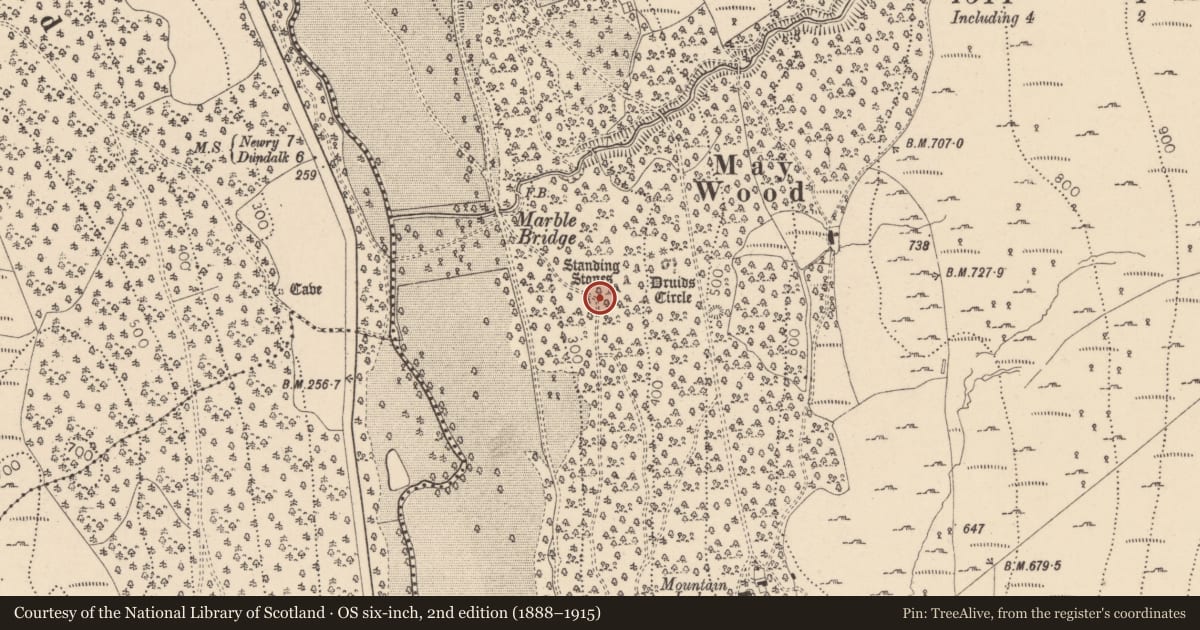 Ordnance Survey six-inch map, 2nd edition (1888–1915) covering the location of Standing stone, Ravensdale Park, County Louth, with a pin at the register's coordinates