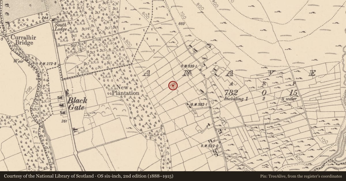 Ordnance Survey six-inch map, 2nd edition (1888–1915) covering the location of Ringfort - rath, Anaverna, County Louth, with a pin at the register's coordinates