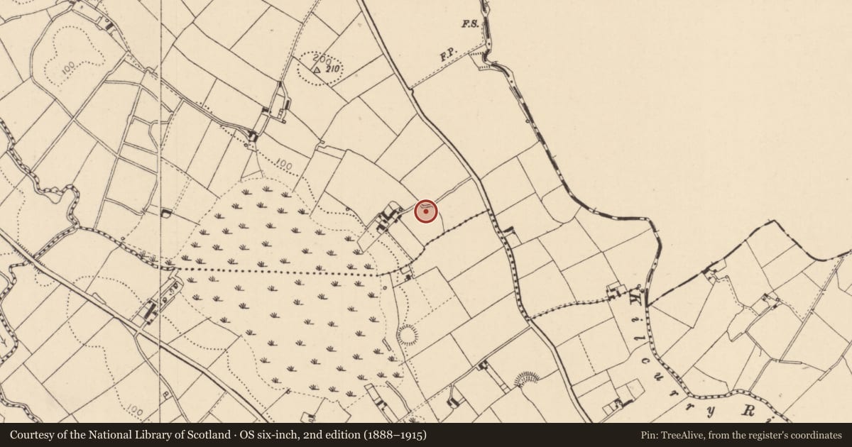 Ordnance Survey six-inch map, 2nd edition (1888–1915) covering the location of Enclosure, Dungooly, County Louth, with a pin at the register's coordinates