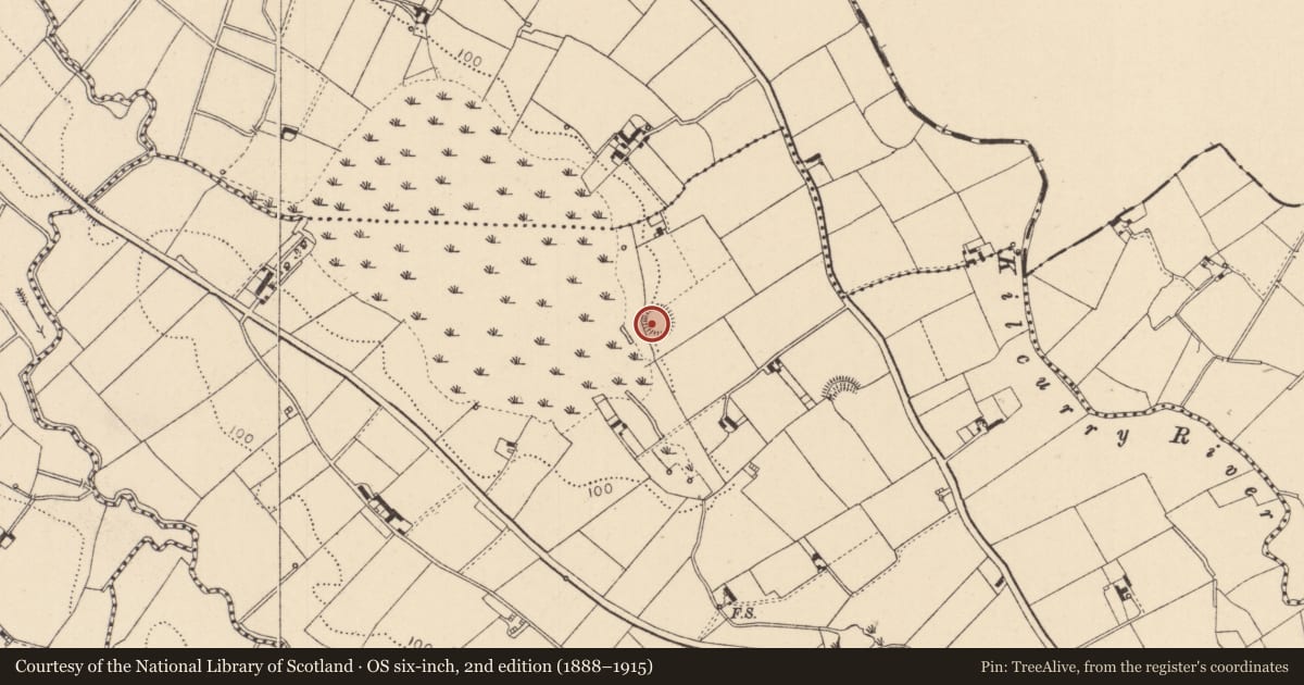 Ordnance Survey six-inch map, 2nd edition (1888–1915) covering the location of Ringfort - rath, Lurgankeel, County Louth, with a pin at the register's coordinates