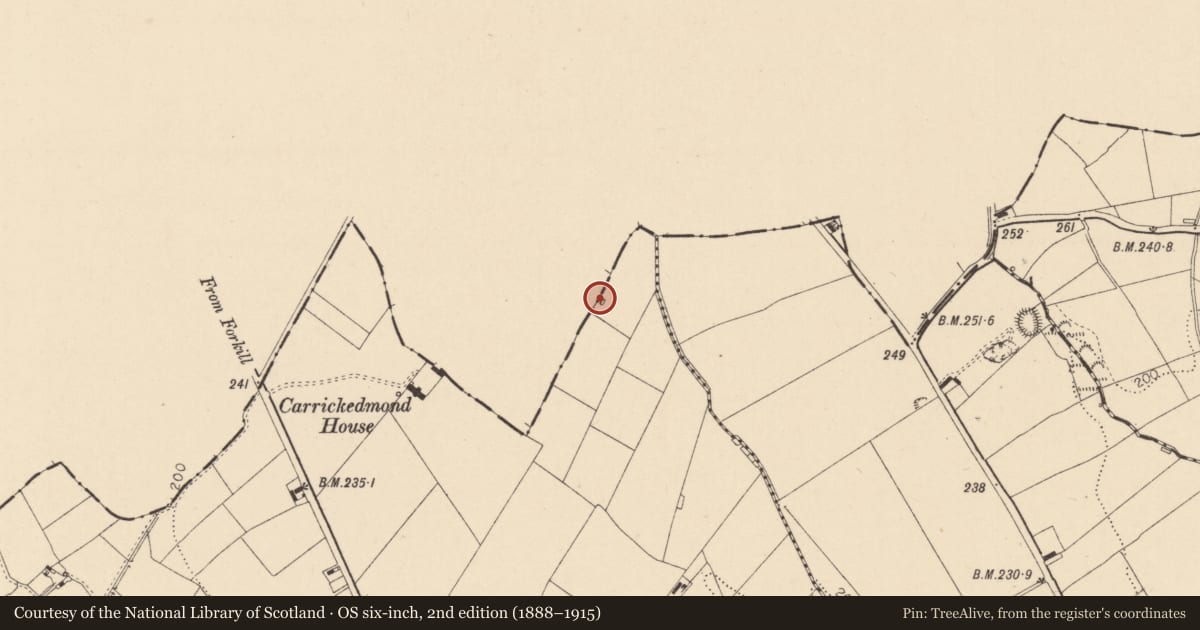 Ordnance Survey six-inch map, 2nd edition (1888–1915) covering the location of Standing stone, Carrickedmond, County Louth, with a pin at the register's coordinates