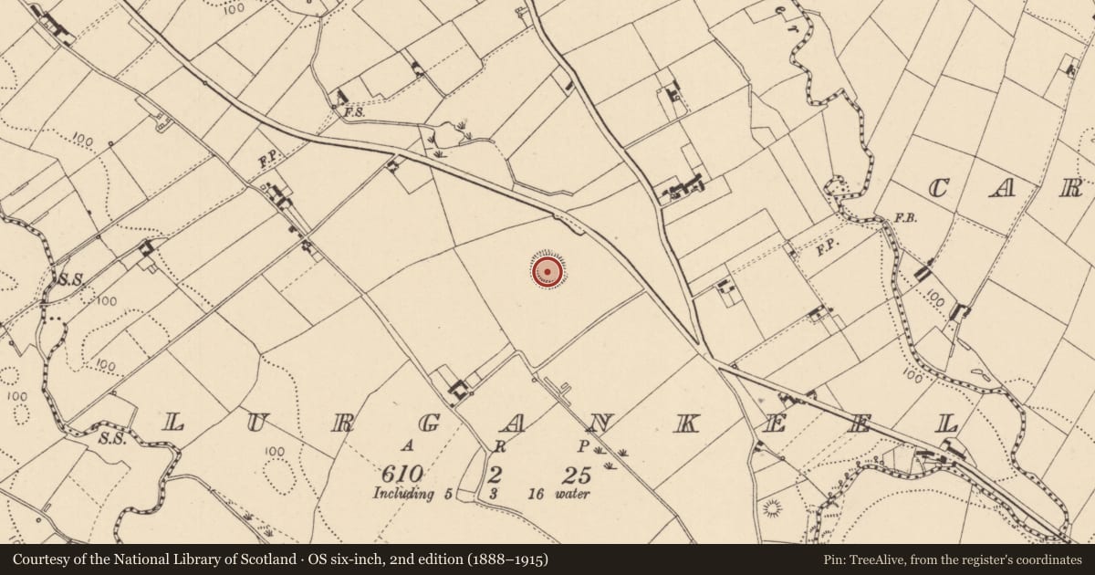 Ordnance Survey six-inch map, 2nd edition (1888–1915) covering the location of Ringfort - rath, Lurgankeel, County Louth, with a pin at the register's coordinates
