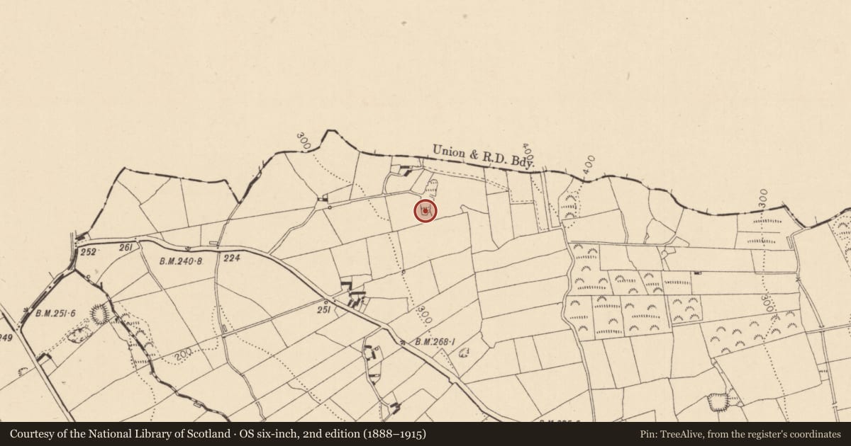 Ordnance Survey six-inch map, 2nd edition (1888–1915) covering the location of Megalithic tomb - portal tomb, Monascreebe, County Louth, with a pin at the register's coordinates