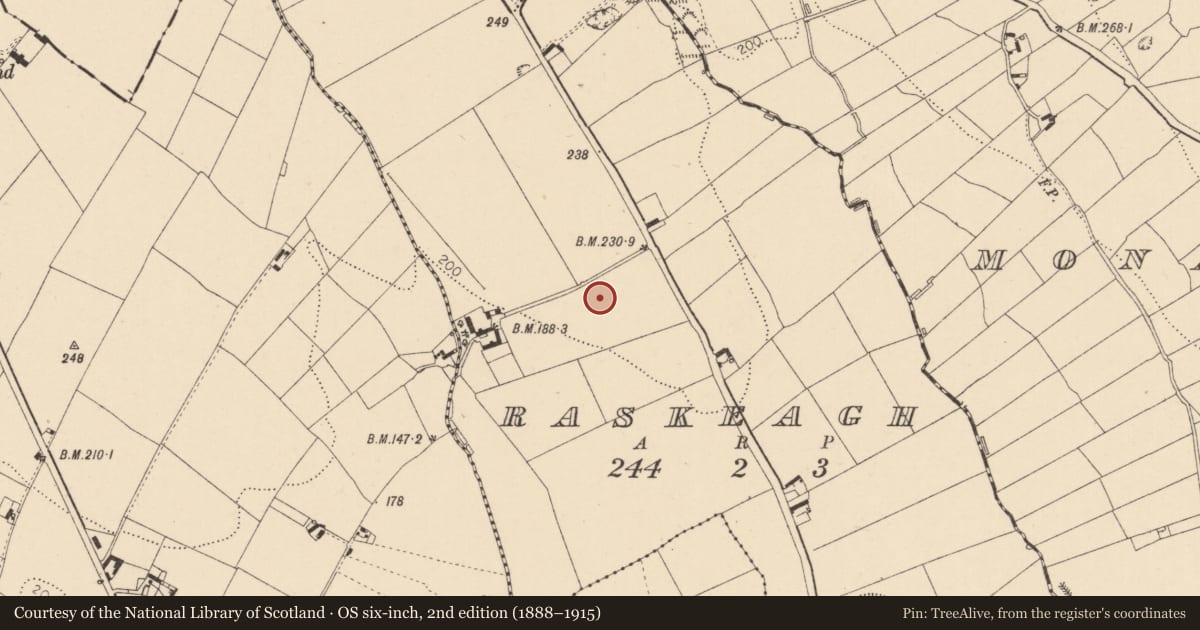 Ordnance Survey six-inch map, 2nd edition (1888–1915) covering the location of Enclosure, Raskeagh, County Louth, with a pin at the register's coordinates