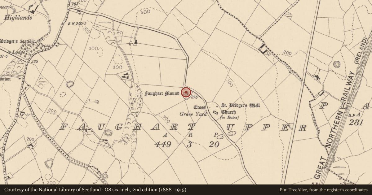 Ordnance Survey six-inch map, 2nd edition (1888–1915) covering the location of Castle - motte, Faughart Upper, County Louth, with a pin at the register's coordinates