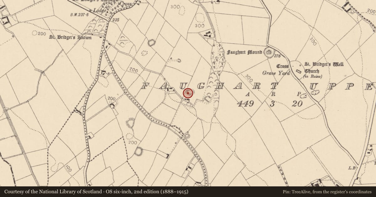 Ordnance Survey six-inch map, 2nd edition (1888–1915) covering the location of Ringfort - rath, Faughart Upper, County Louth, with a pin at the register's coordinates