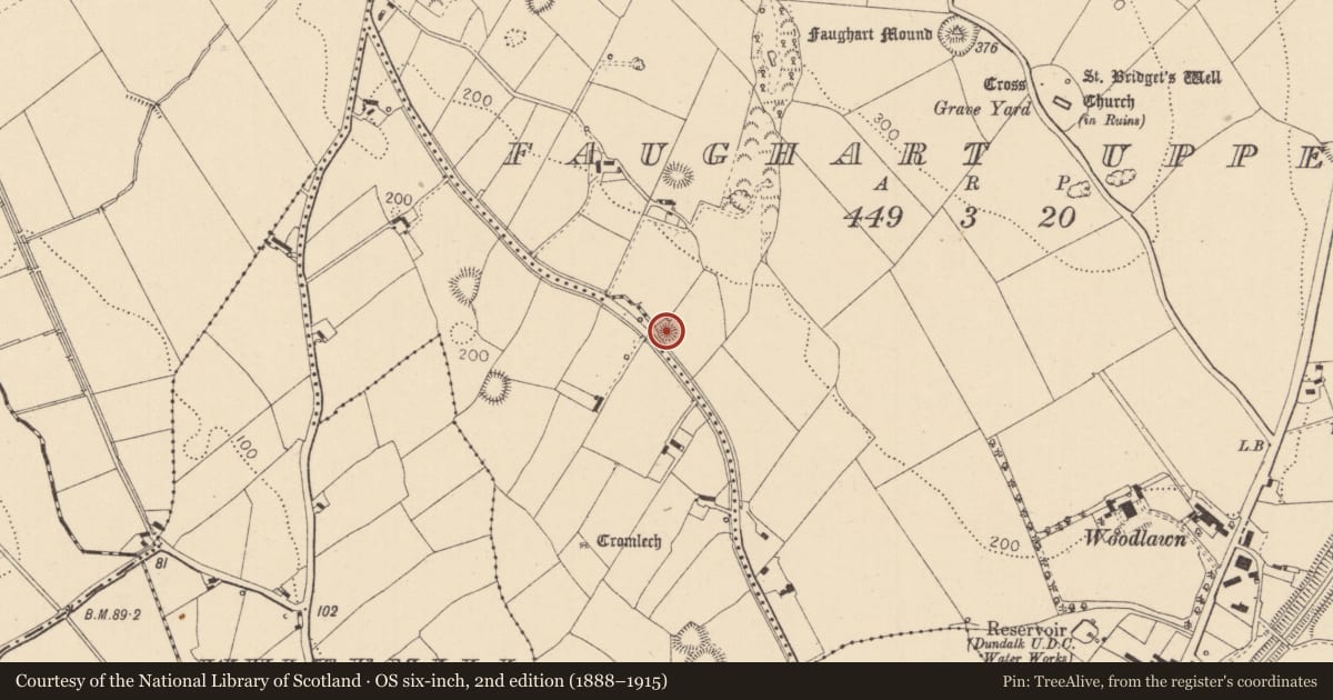 Ordnance Survey six-inch map, 2nd edition (1888–1915) covering the location of Anomalous stone group, Faughart Upper, County Louth, with a pin at the register's coordinates