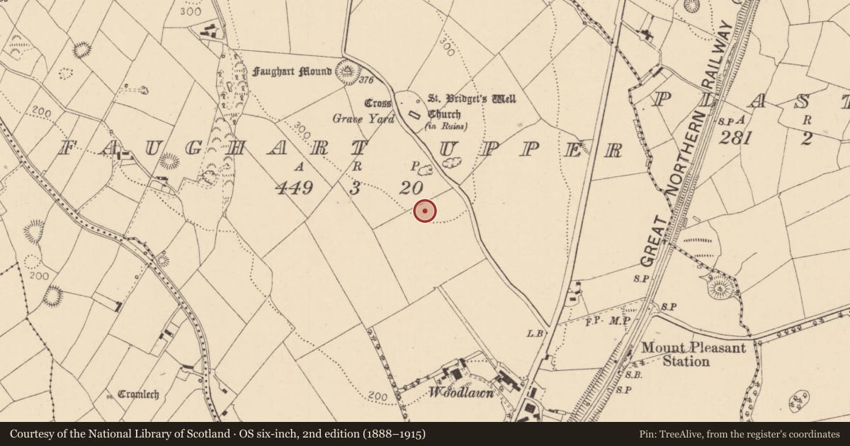 Ordnance Survey six-inch map, 2nd edition (1888–1915) covering the location of Enclosure, Faughart Upper, County Louth, with a pin at the register's coordinates