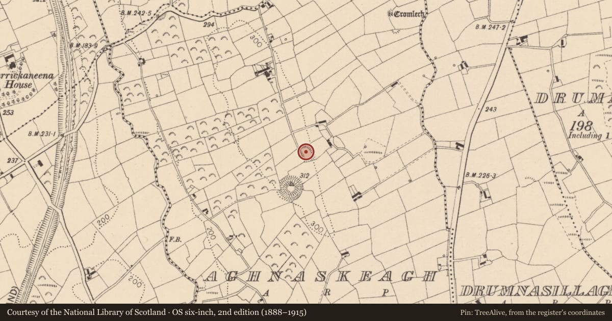 Ordnance Survey six-inch map, 2nd edition (1888–1915) covering the location of Ringfort - rath, Aghnaskeagh, County Louth, with a pin at the register's coordinates
