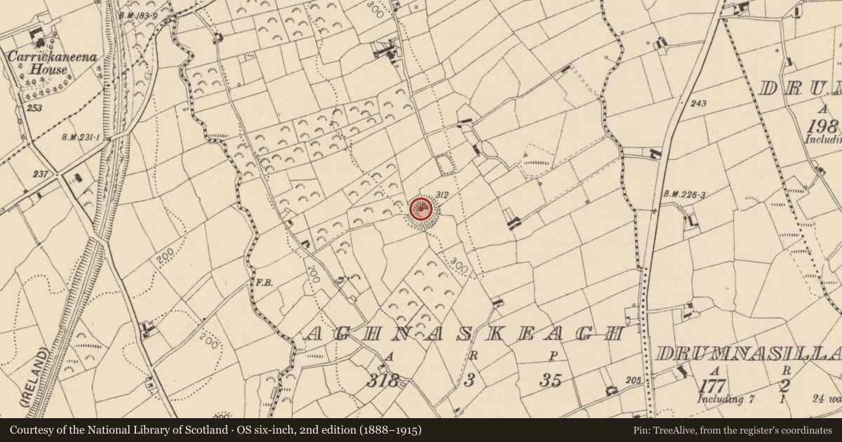 Ordnance Survey six-inch map, 2nd edition (1888–1915) covering the location of Ringfort - rath, Aghnaskeagh, County Louth, with a pin at the register's coordinates