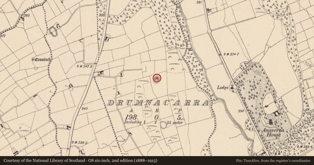 Ordnance Survey six-inch map, 2nd edition (1888–1915) covering the location of Ringfort - rath, Drumnacarra, County Louth, with a pin at the register's coordinates