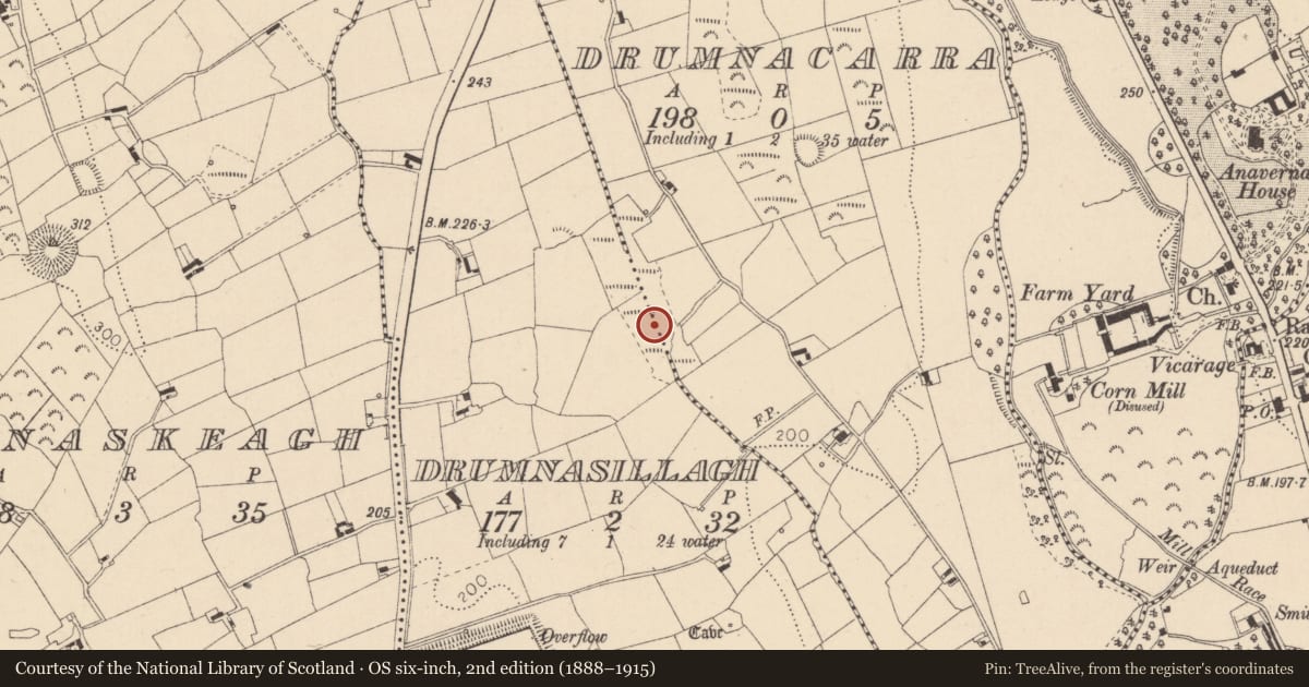 Ordnance Survey six-inch map, 2nd edition (1888–1915) covering the location of Fulacht fia, Drumnasillagh, County Louth, with a pin at the register's coordinates