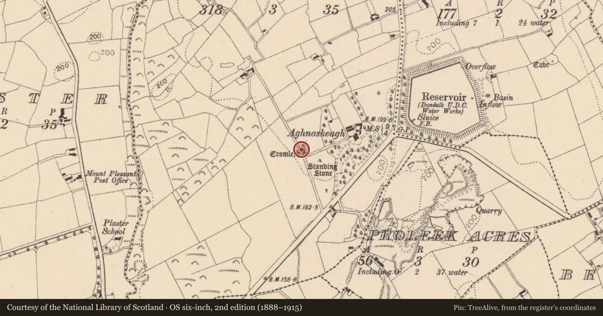 Ordnance Survey six-inch map, 2nd edition (1888–1915) covering the location of Megalithic tomb - court tomb, Aghnaskeagh, County Louth, with a pin at the register's coordinates