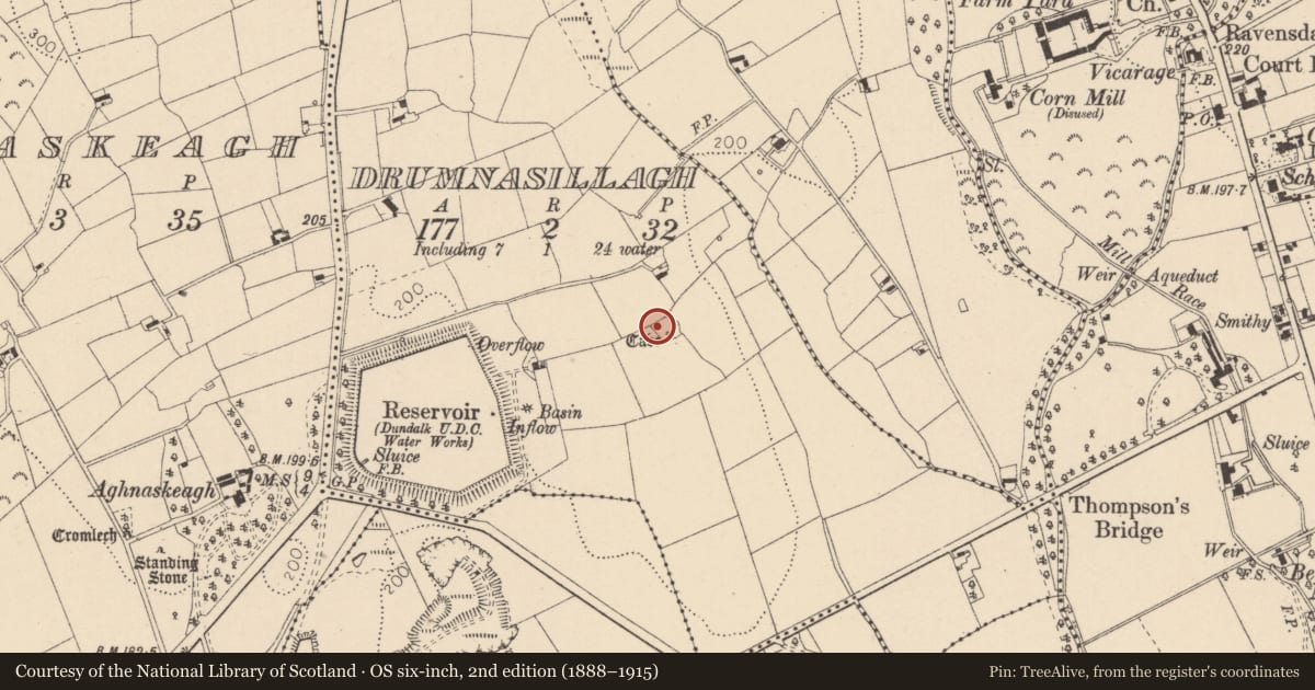 Ordnance Survey six-inch map, 2nd edition (1888–1915) covering the location of Enclosure, Drumnasillagh, County Louth, with a pin at the register's coordinates
