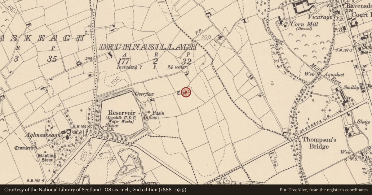 Ordnance Survey six-inch map, 2nd edition (1888–1915) covering the location of Souterrain, Drumnasillagh, County Louth, with a pin at the register's coordinates