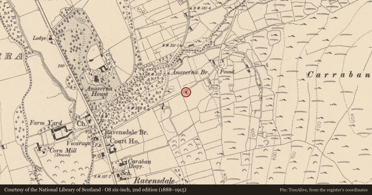 Ordnance Survey six-inch map, 2nd edition (1888–1915) covering the location of Ringfort - rath, Doolargy, County Louth, with a pin at the register's coordinates