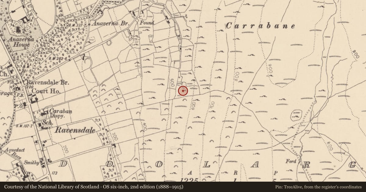 Ordnance Survey six-inch map, 2nd edition (1888–1915) covering the location of Hut site, Doolargy, County Louth, with a pin at the register's coordinates