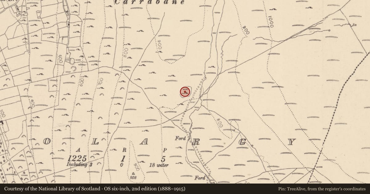 Ordnance Survey six-inch map, 2nd edition (1888–1915) covering the location of Hut site, Doolargy, County Louth, with a pin at the register's coordinates